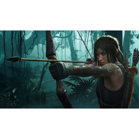 Ps4 Rise Of The Tomb Raider Dubbing PL