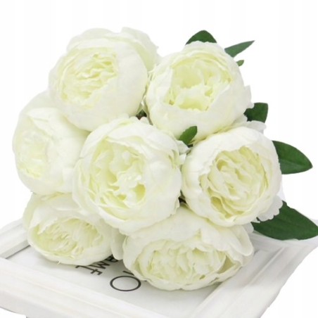 Bukiet Piwonia Biala / Peonia White / 7 Kwiatow / Duze Paki jak Zywe