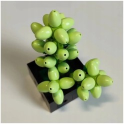 Klocki Konstrukcyjne Botaniczna Kolekcja Sukulenty 771 Elementow 2